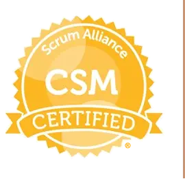 Scrum Master of Agile Dev